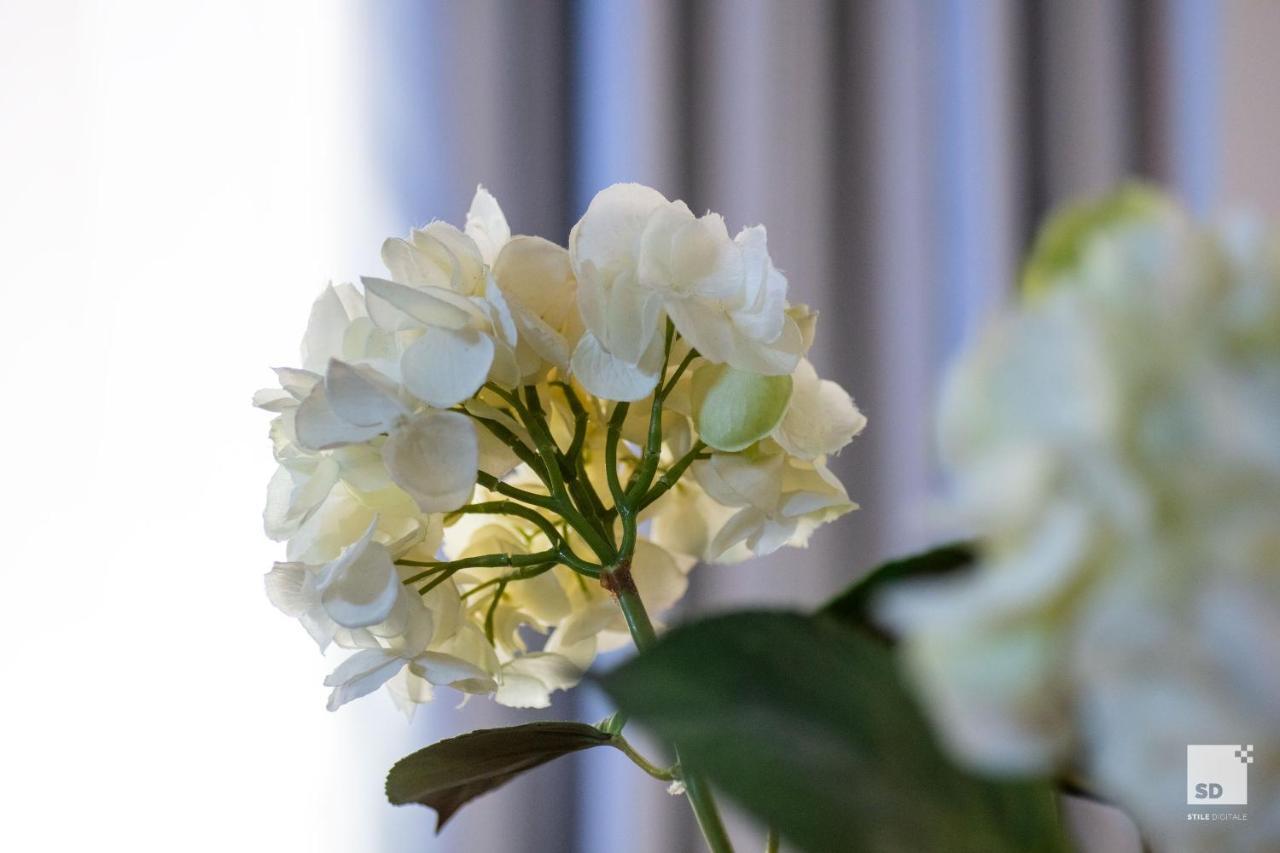 Pam Style Home Bolonya Dış mekan fotoğraf